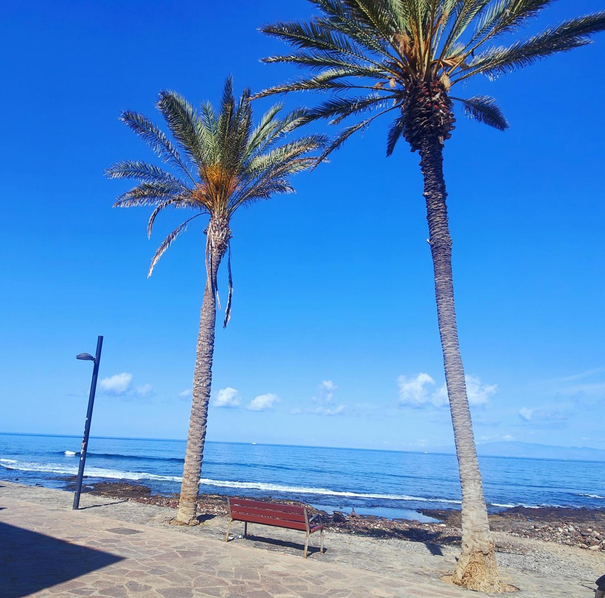 ארונה Parque Santiago 2 En Playa De Las Americas מראה חיצוני תמונה